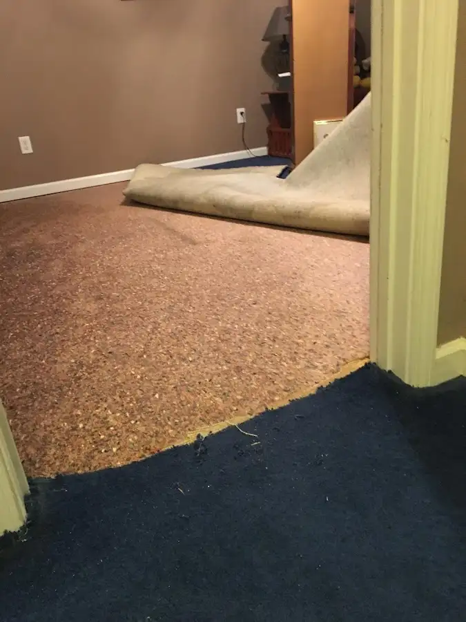 Carpet pad removal revealing water damage during Water Mitigation Services in Darlington